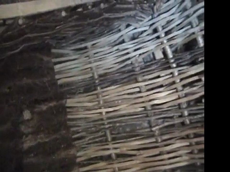 Folk Museum and Northern Ireland Mar 2008