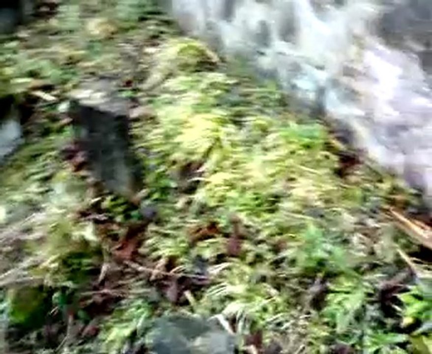 Hacı Abdurrahman Efendi- Tüfekçi Köyü