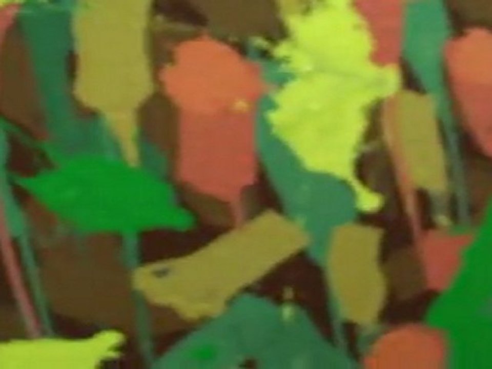 Visite guidée de la maison musée de Vincent Mengin par Vincent Mengin