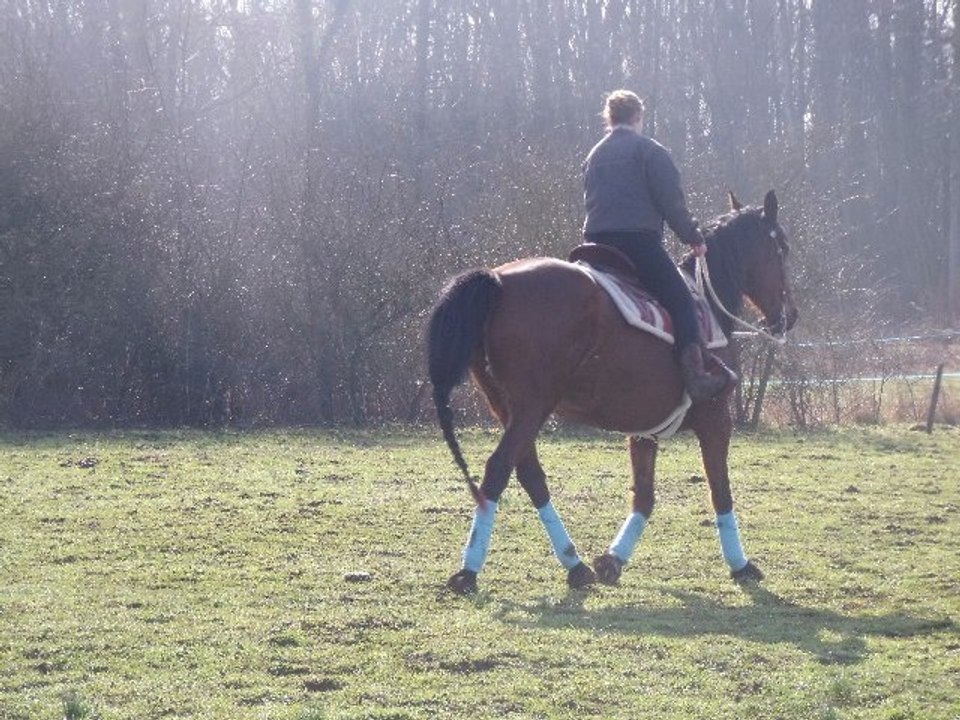 1er montagesur le dimanche 26 février 2012