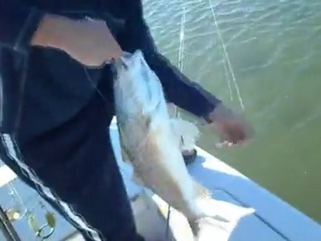 Myrtle Beach Fishing Charter