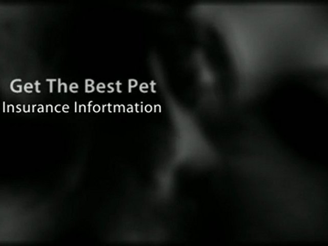 Which Is The Best Pet Insurance