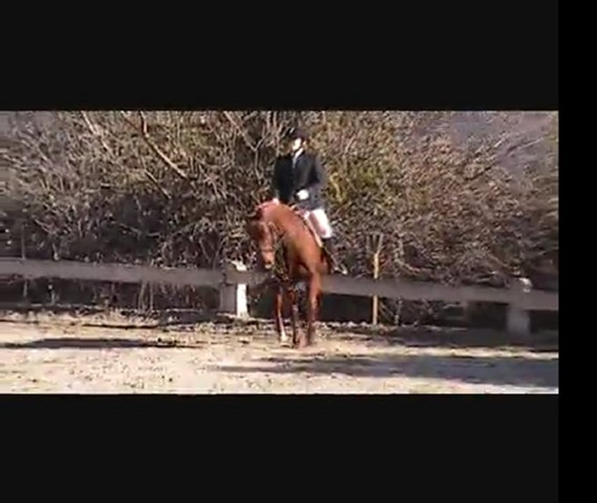 Dressage CE Collet Rouge Club 3 Préliminaire 26.02.12