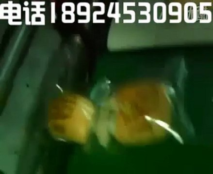 automatic biscuit/cookie packaging machine iran