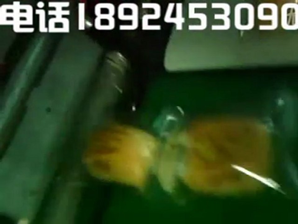 malaysia bread/cake packaging machine