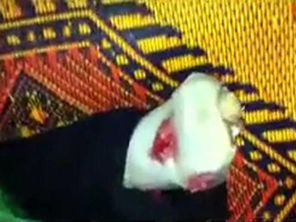 فري برس  حلب الشهيد الحر عمر احمد بكريش شهيد الاتارب