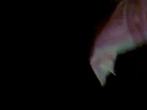 فري برس الحسكة العزيزية مسائية 29 02 2012 ج2