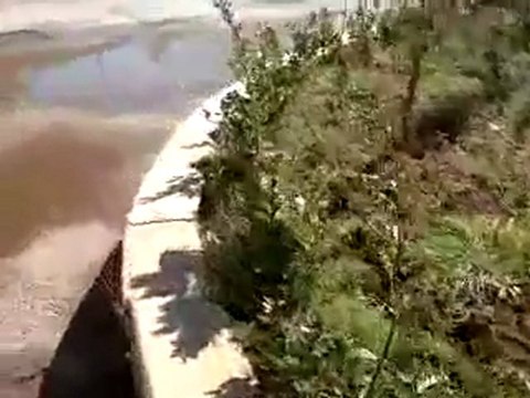 فري برس الاتحاد الديمقراطي الحر حلب كلية المعلوماتية 29 2 2012 ج 2