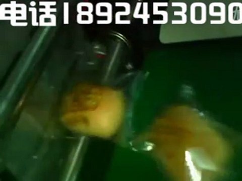 spain packaging machines,spain bread packaging machines