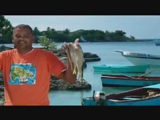 REPUBLICA DOMINICANA LO TIENE TODO ...