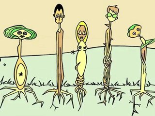 Entertainment - Noise off festival 15 de Marzo -  Sala But