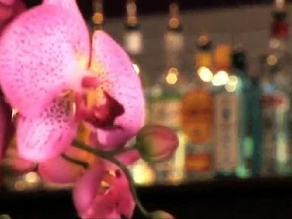 Le Trilance, restaurant gastronomique, bar lounge cosy et conviviale