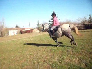 Partie 2 : reprise de dressage
