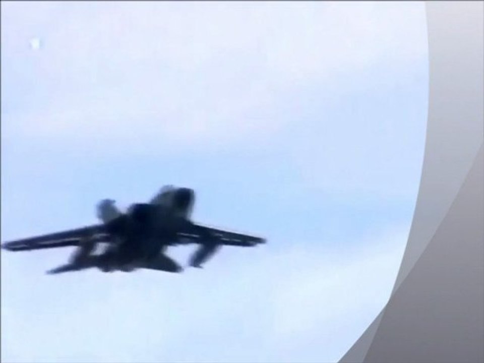 Tangerine Dream. Birdwatchers Dream.