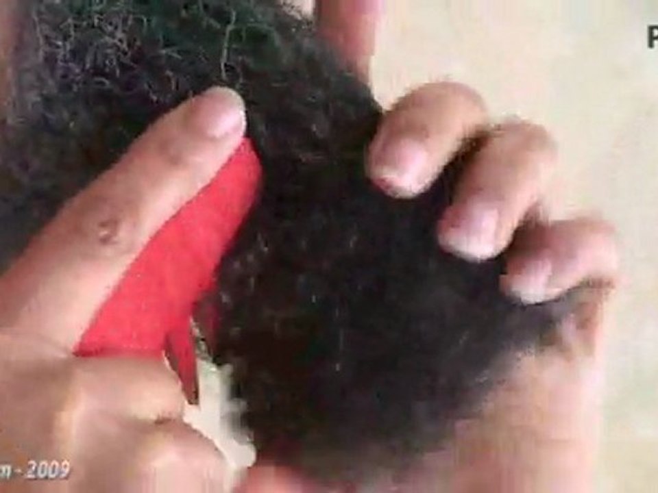 Plibel - comment se démêler les cheveux