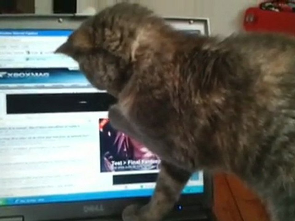 Chat XM
