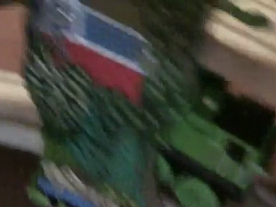 Thomas the Train, Oliver and Fergus try to stop Percy