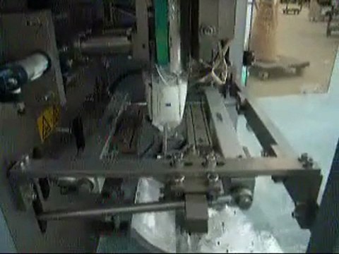 powder weighing packing machine in iran