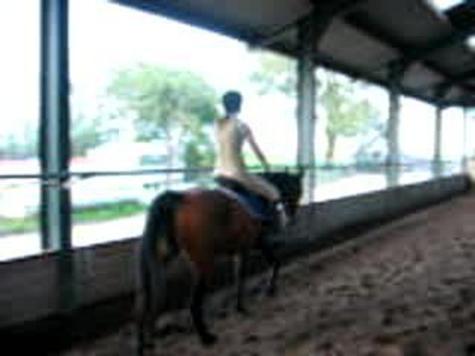 19 fig  au trot