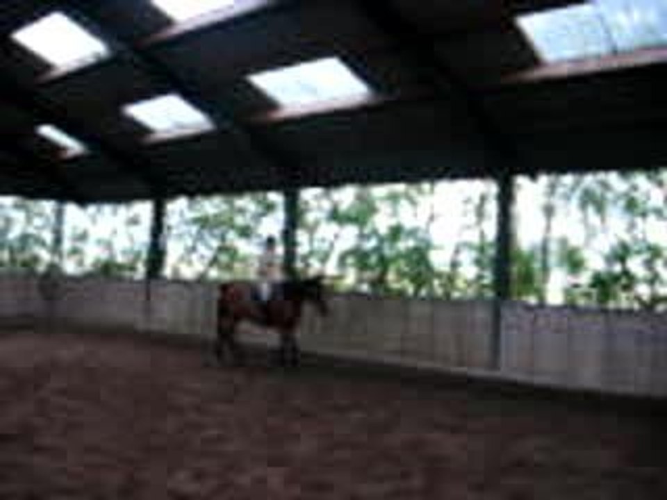 24 trot assis avec chgt de piste