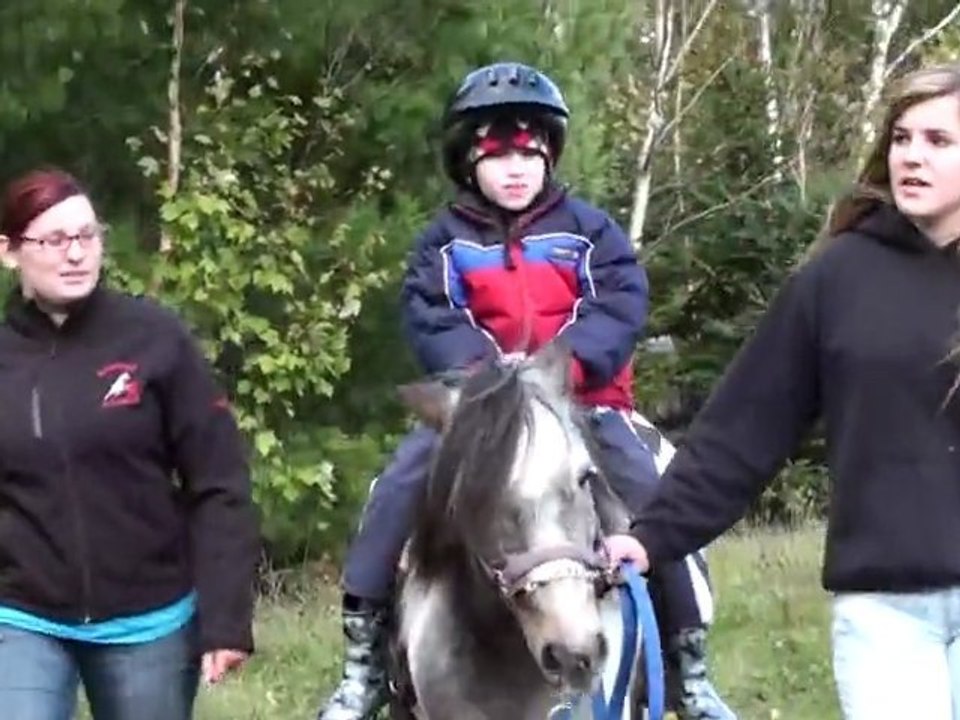 Pony Rides