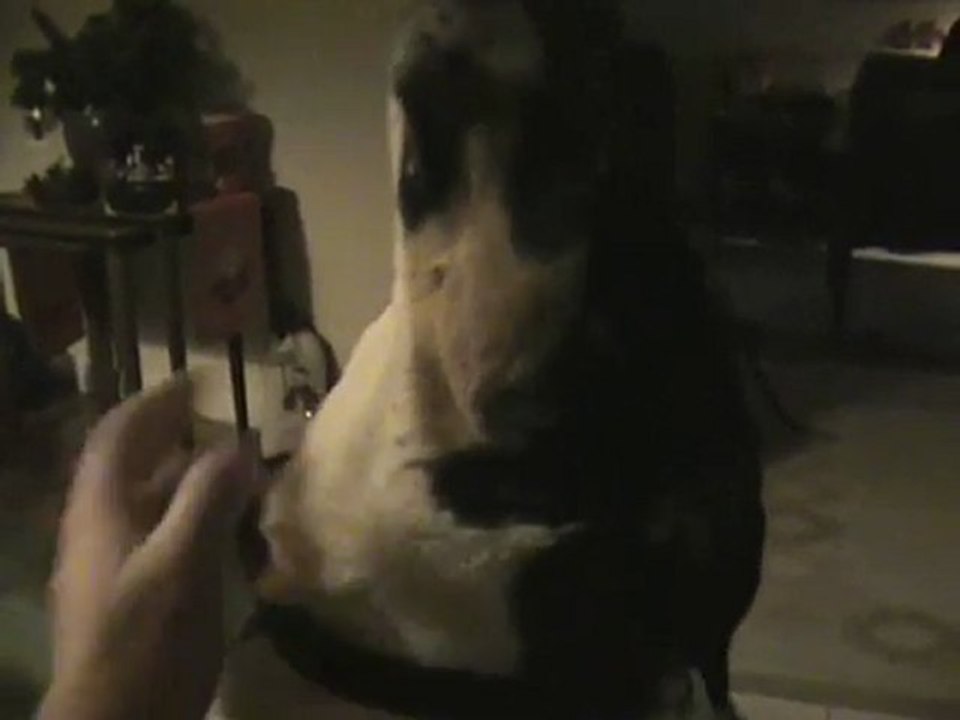 Kaja sticks her nose in the camera