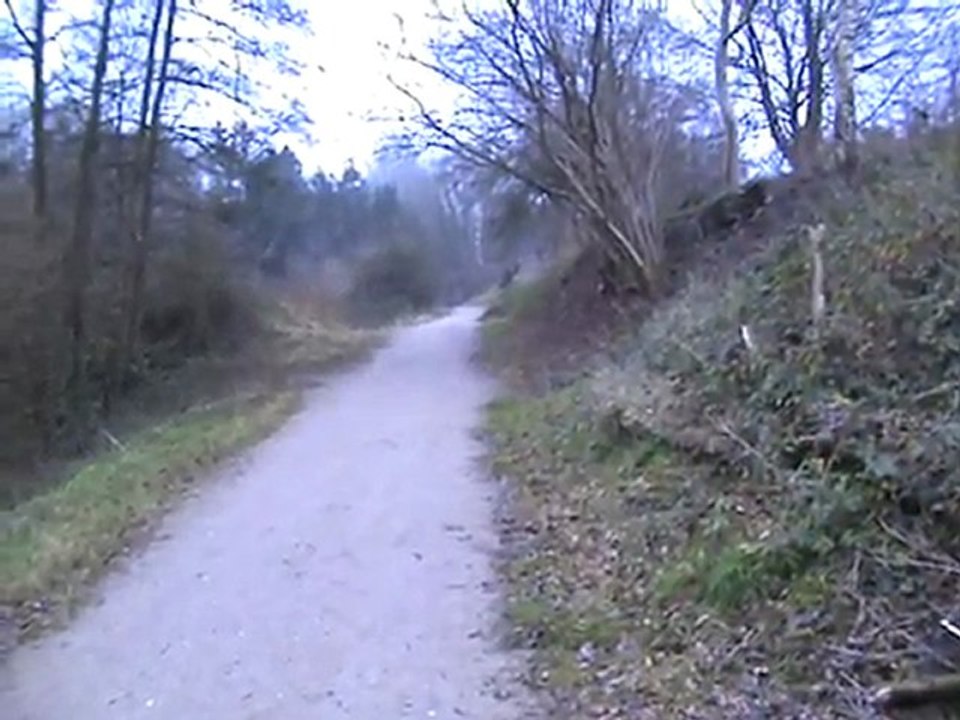 Lautrupsbach Durchlass unter der ehemaligen Kieler Strecke