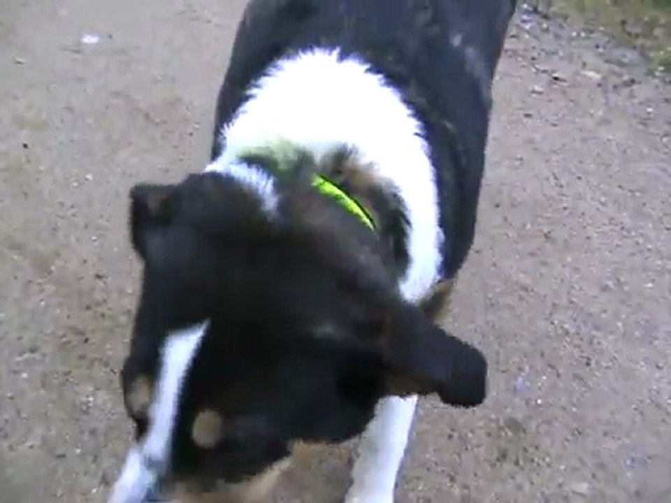 Kaja verbellt GROSSEN Stein am flensburger Lautrupsbach