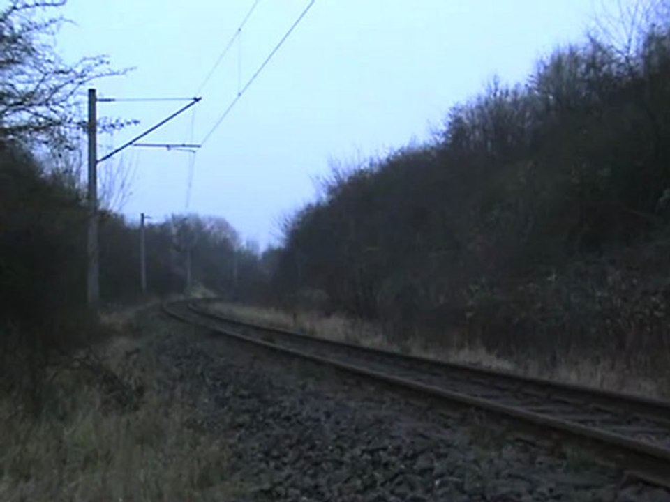 Zug aus Dänemark beim BW Flensburg am Peelwatt