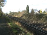 BR146 von Bonn nach Köln bei Bonn - Tannenbusch 02