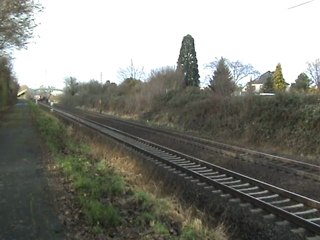 BR425 von Bonn nach Köln bei der Maximilian-Kolbe-Brücke 03