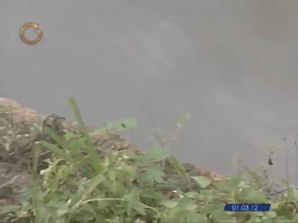 Riberas del Río Guarapiche aún muestran residuos de petroleo