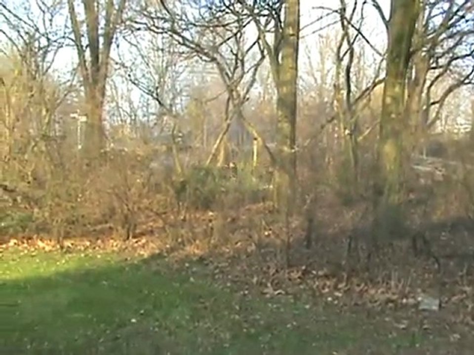 BR96 durchfährt mit Tempo den Hbf Stadtpark Leverkusen