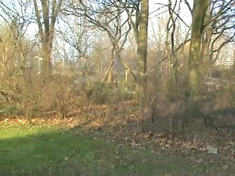 BR96 durchfährt mit Tempo den Hbf Stadtpark Leverkusen