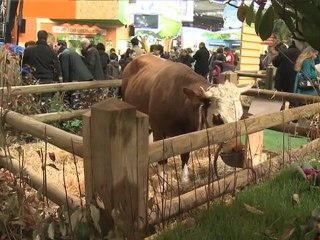 [Présidence] Le Président du Sénat au Salon de l'Agriculture