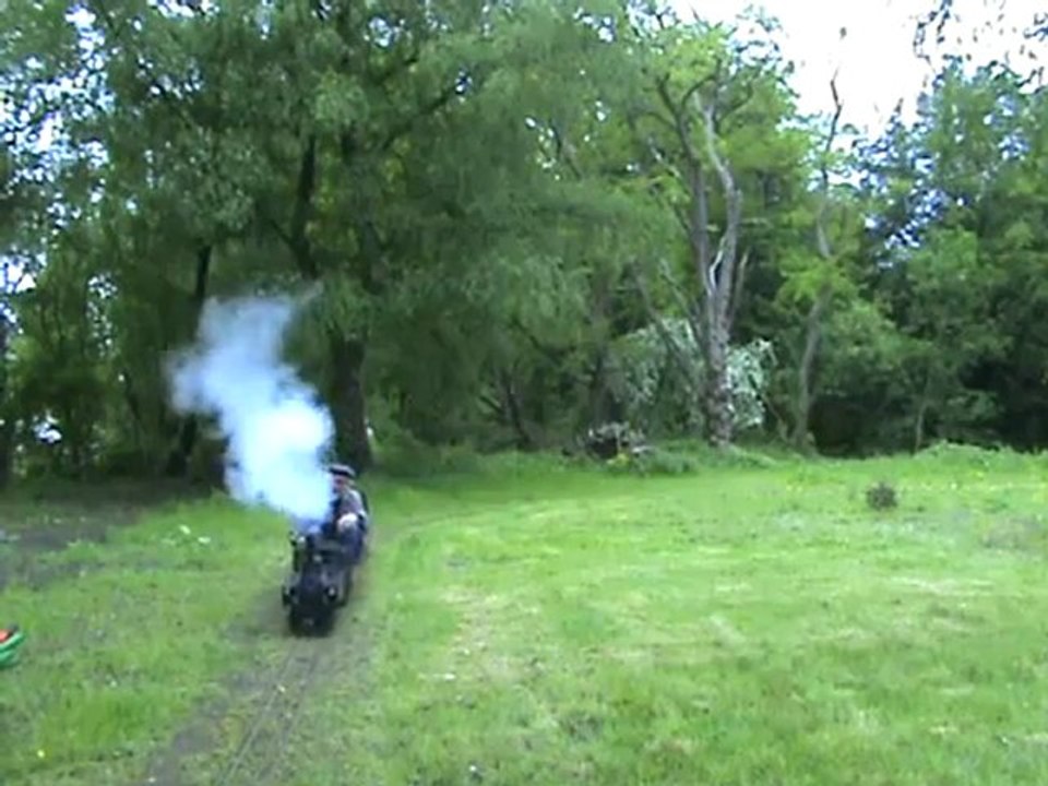 Die österreichische Schmalspurdampflok Baureihe 'U'