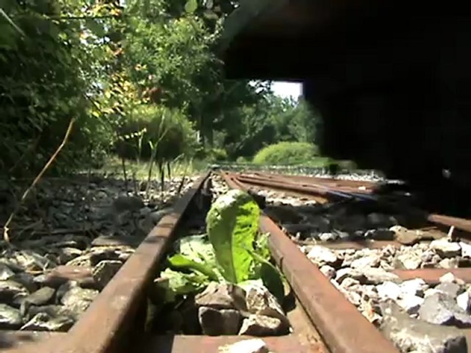 Köf auf 7,25 Zoll Spur aus der Froschperspektive in Hamm