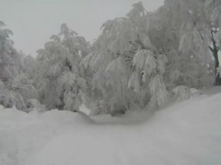 nevicata 2012