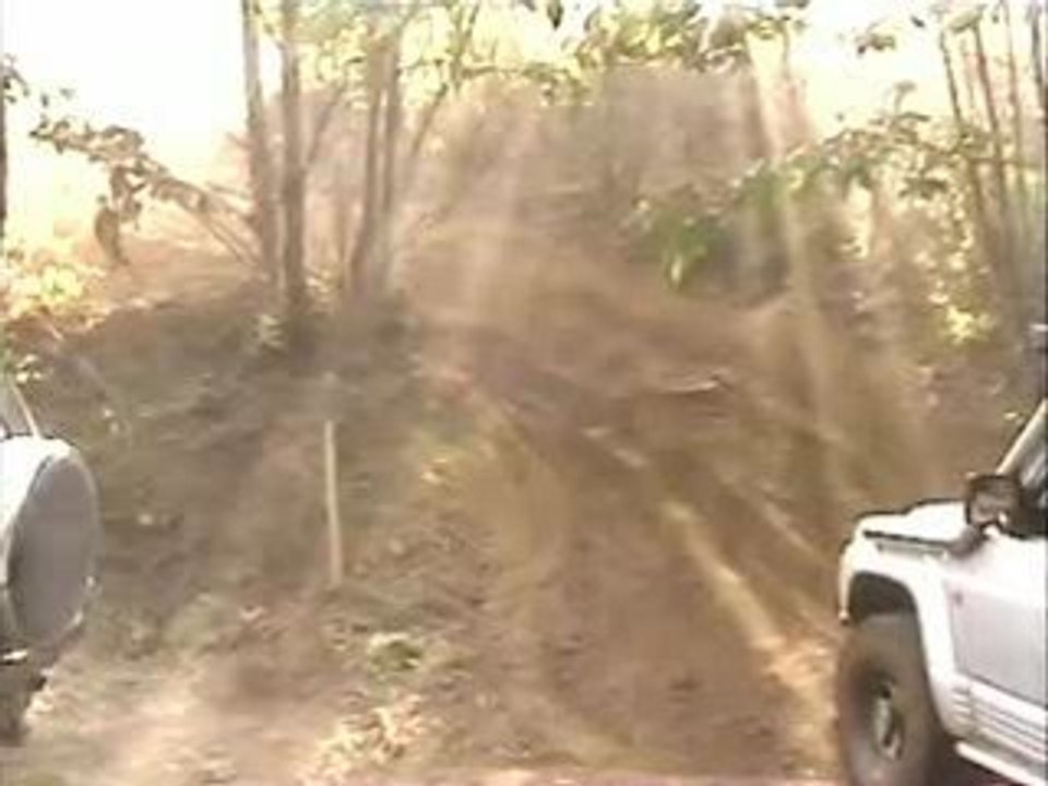 phill44 et woolf44 en monté