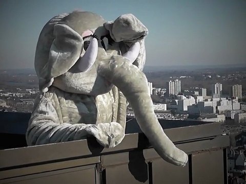 Coldplay Paradise (Parody) Adventure of elephant