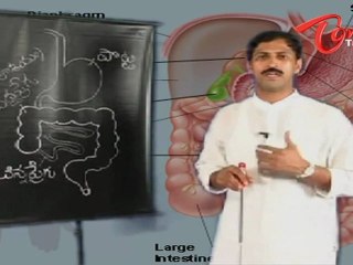 Dr Manthena Tips for Digestive Problems - Part - 04