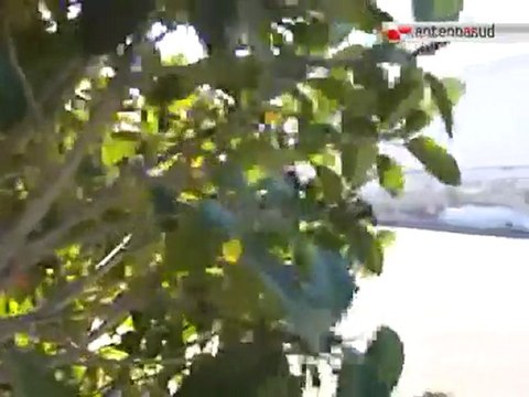 TG 29.02.12 Viaggio nell'impresa, quarta tappa alla GTS Rail di Bari