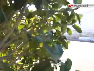 TG 29.02.12 Viaggio nell'impresa, quarta tappa alla GTS Rail di Bari