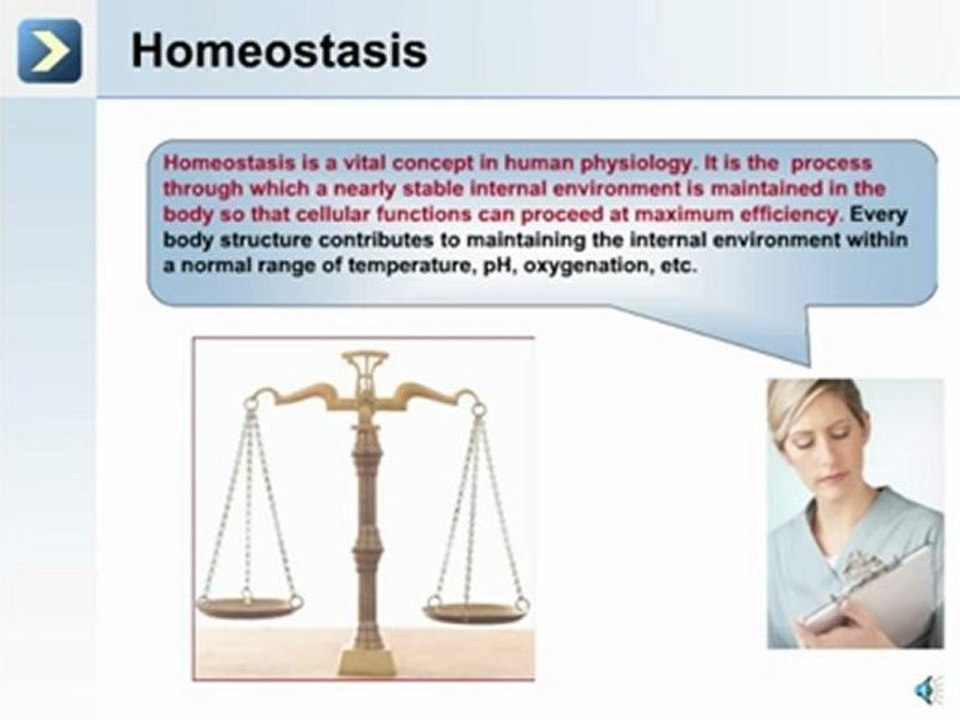 What is Physiology?