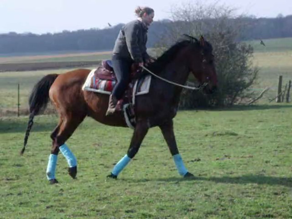 Le galop inhabituel de Kelenn