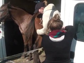 29.02.2012.d.batoukada