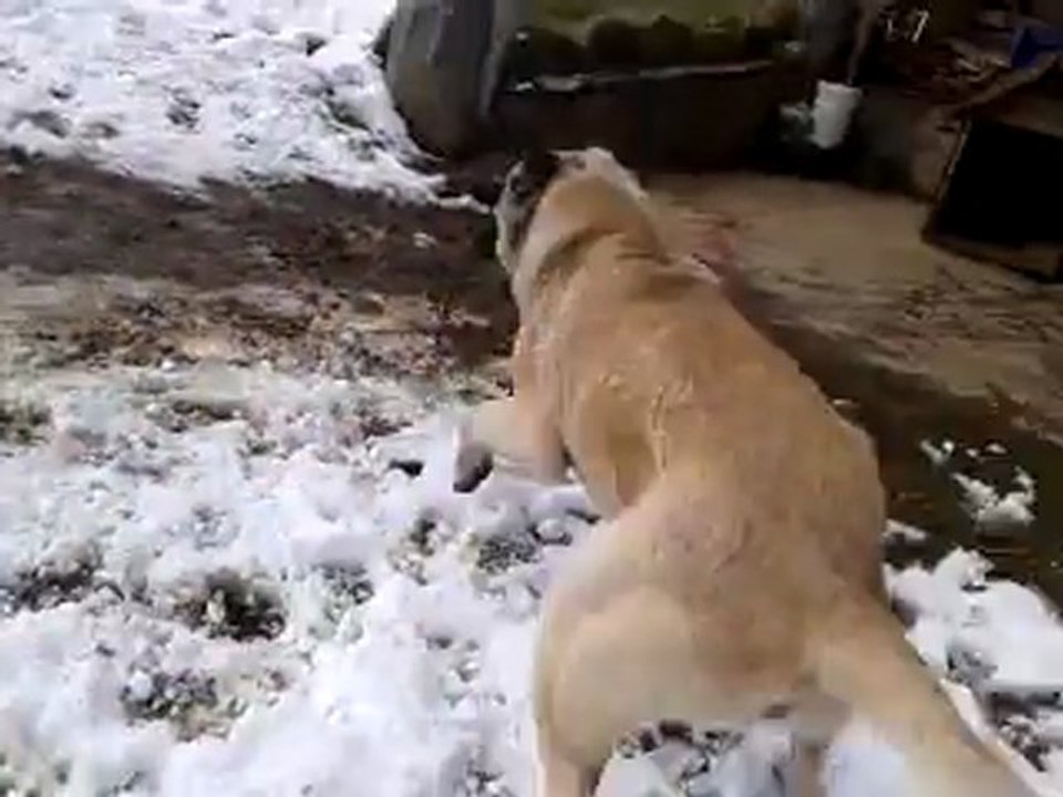 video-2012-02-29-11-45-44 TeNgO