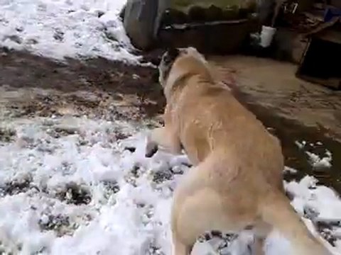 video-2012-02-29-11-45-44 TeNgO