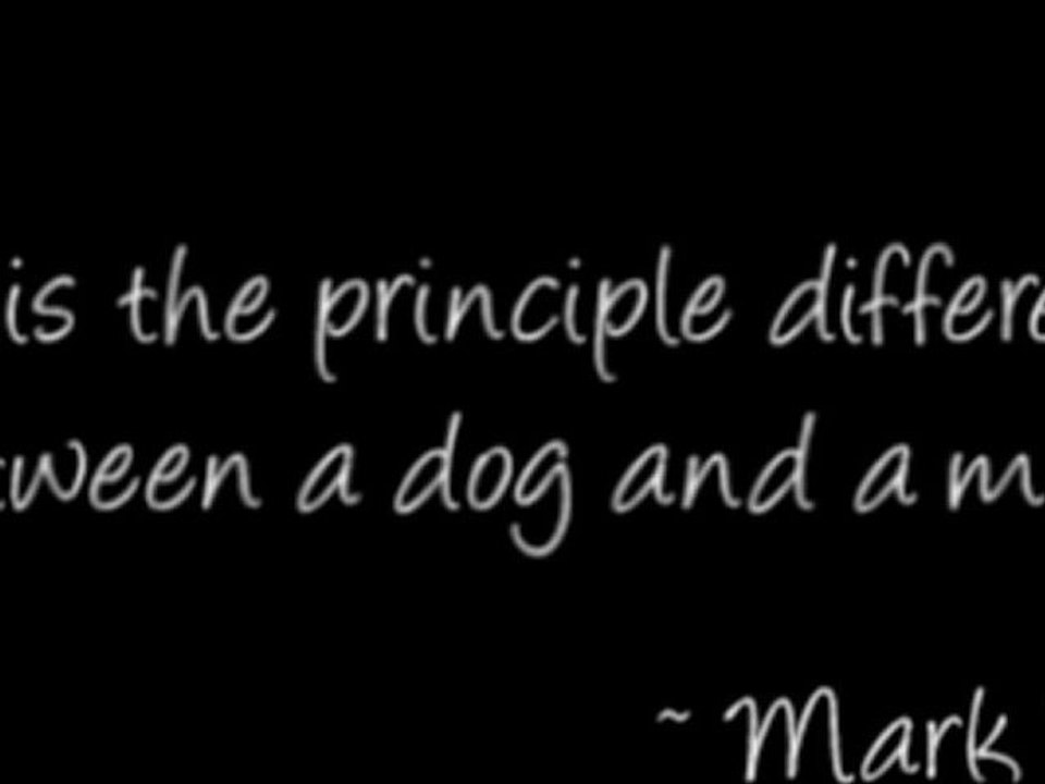 If you pick up a starving dog