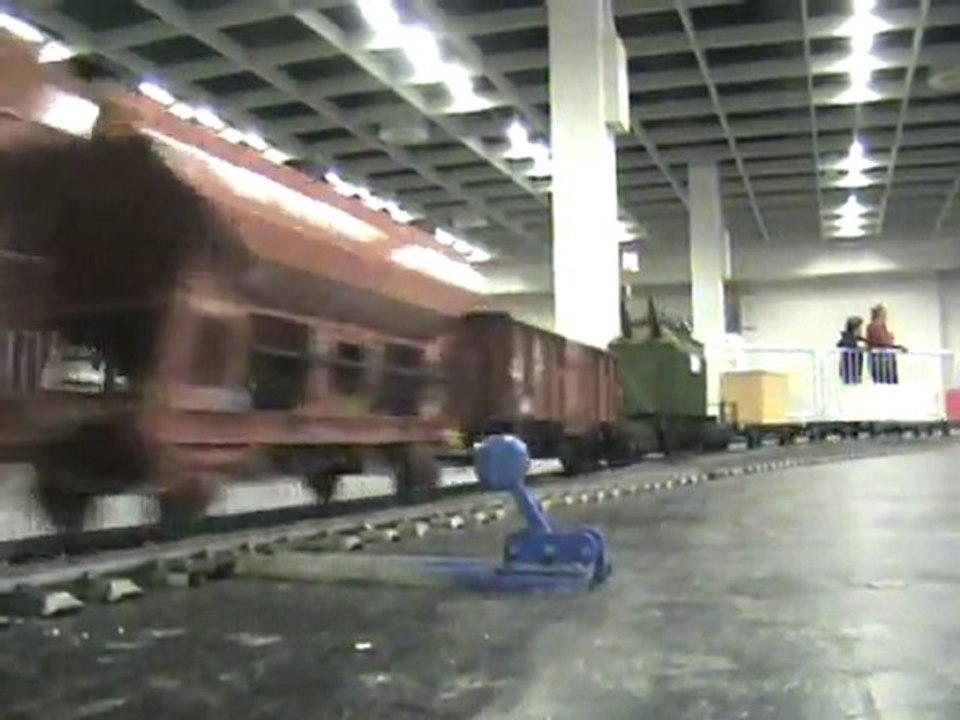 Echtdampftreffen Köln 2008 Ein langer Güterzug mit drei Dampfloks bespannt